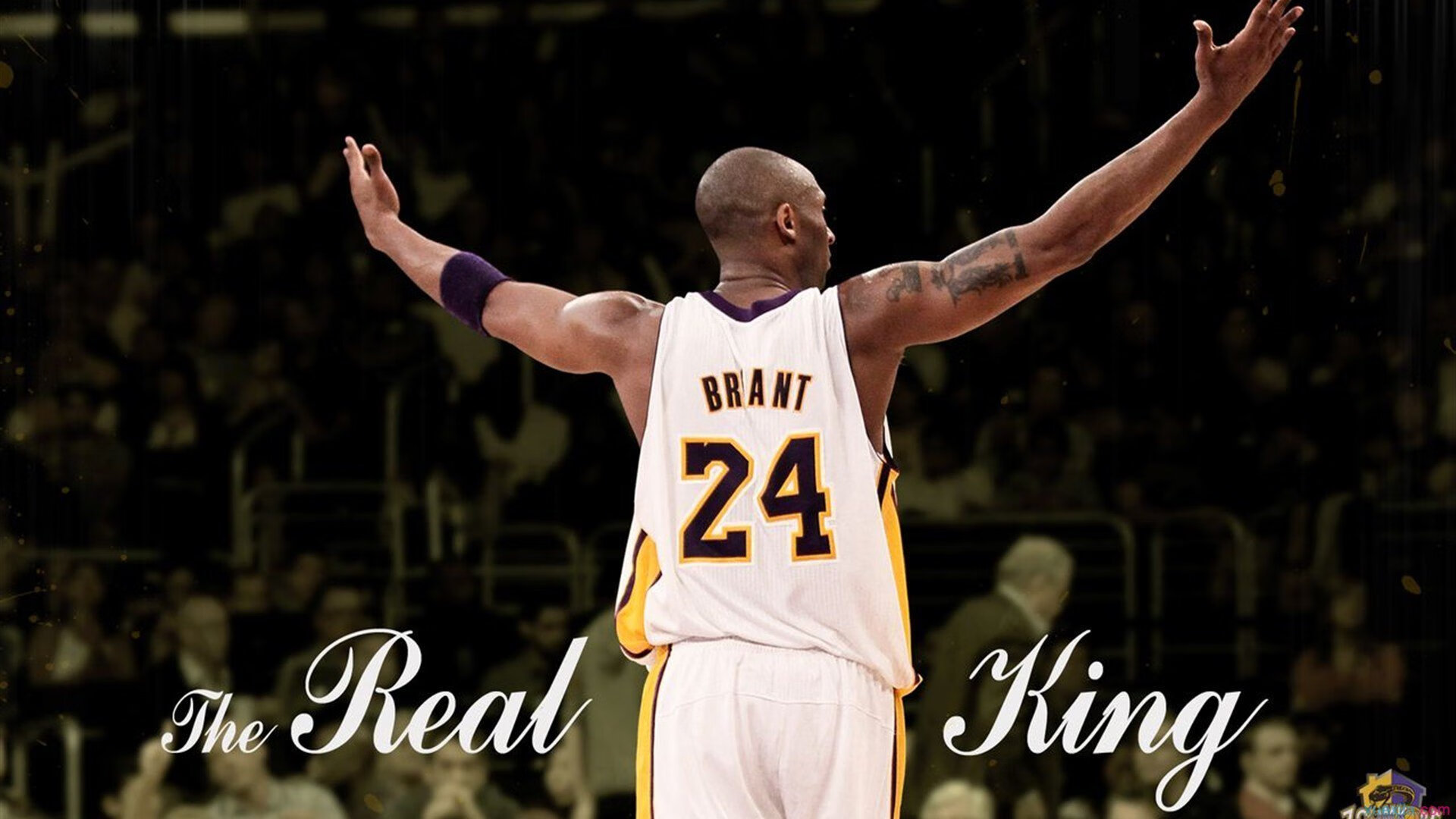 逆境反击，谁能逆袭成功？，逆境能怎么样